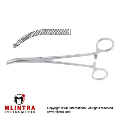 Heaney Hysterectomy Forcep Curved - 1 Tooth Stainless Steel, 24 cm - 9 1/2"